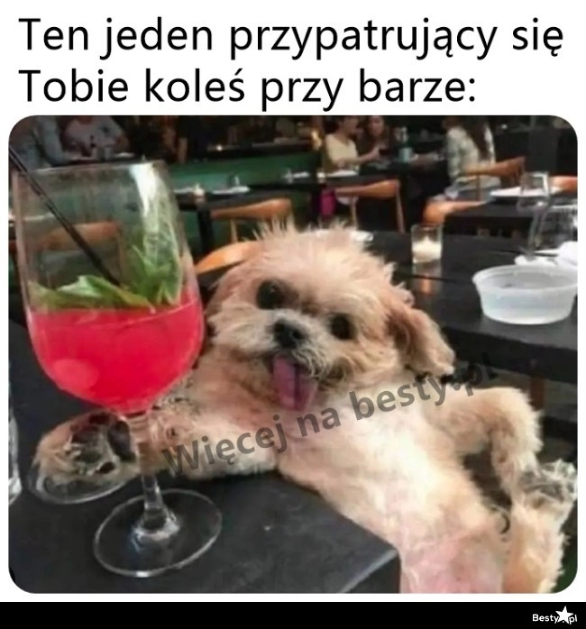 
    Gość przy barze 