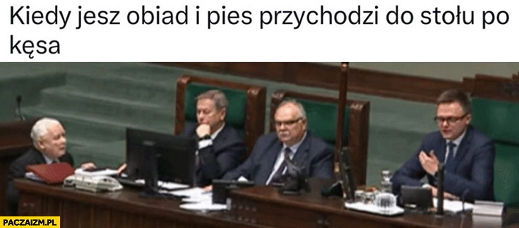 
    Kaczyński kiedy jesz obiad i pies przychodzi do stołu po kęsa