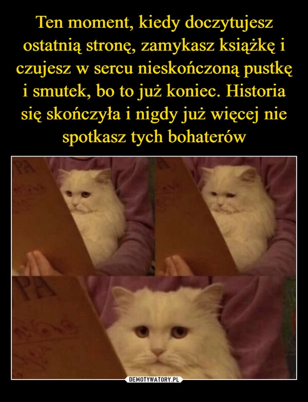 
    Ten moment, kiedy doczytujesz ostatnią stronę, zamykasz książkę i czujesz w sercu nieskończoną pustkę i smutek, bo to już koniec. Historia się skończyła i nigdy już więcej nie spotkasz tych bohaterów