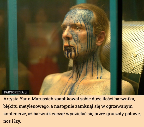 
    Artysta Yann Marussich zaaplikował sobie duże ilości barwnika, błękitu metylenowego,