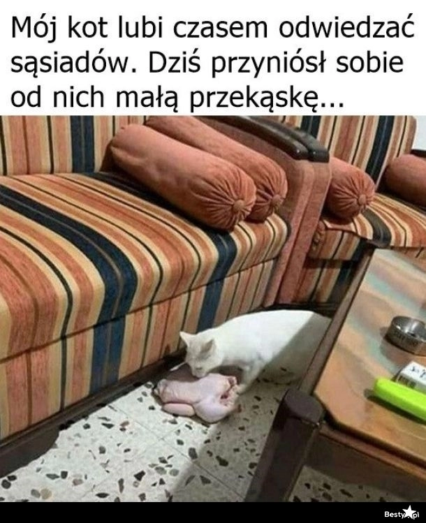 
    Złodziejaszek 