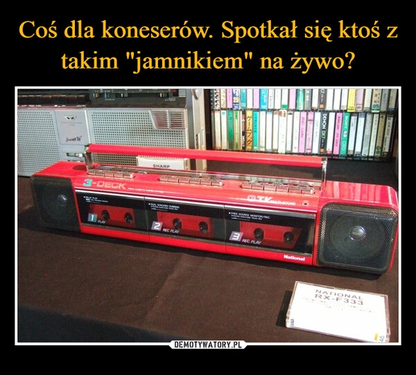 
    Coś dla koneserów. Spotkał się ktoś z takim "jamnikiem" na żywo?