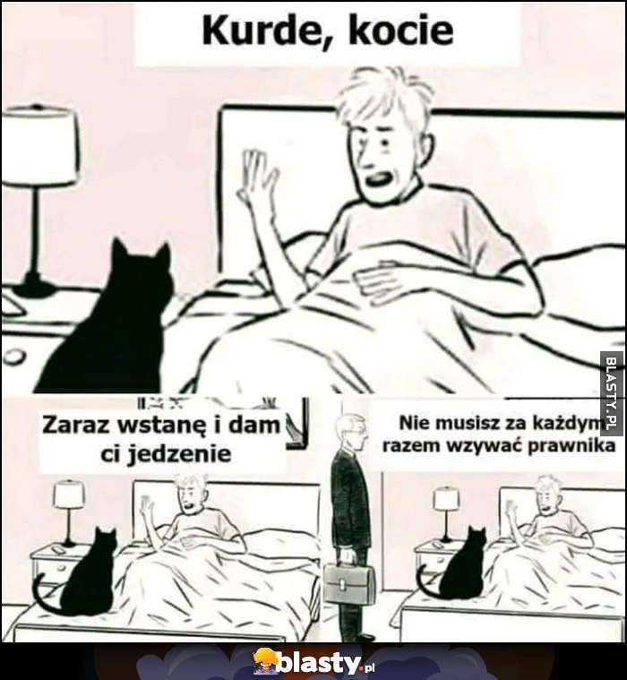 
    Kurde kocie, zaraz wstanę i dam ci jedzenie, nie musisz za każdym razem wzywać prawnika