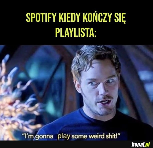 
    Typowy spotify