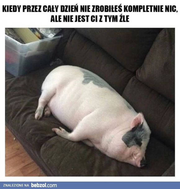 
    Tak się dziś czuje 