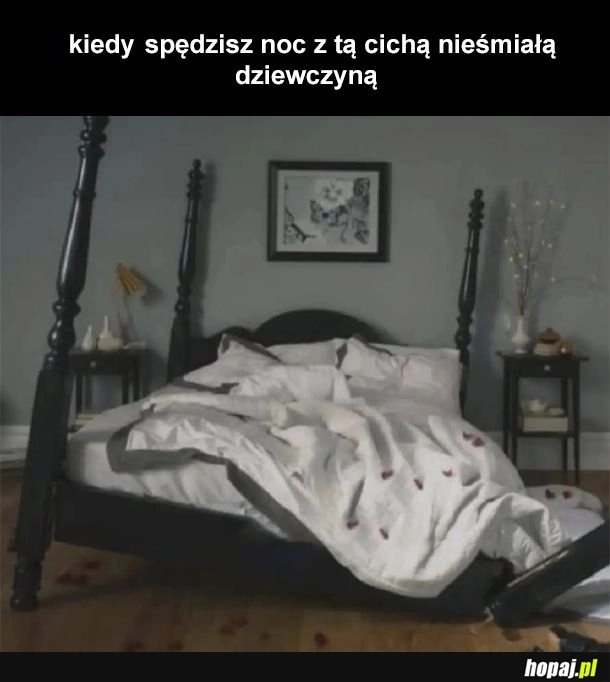 
    Szara myszka