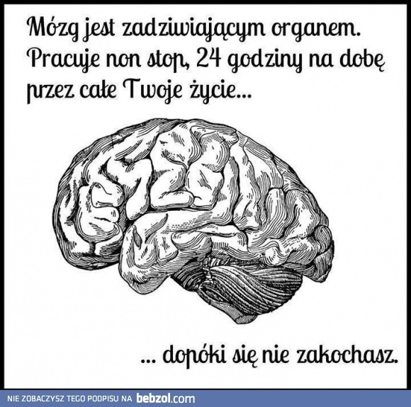 
    Mózg jest zadziwiającym organem