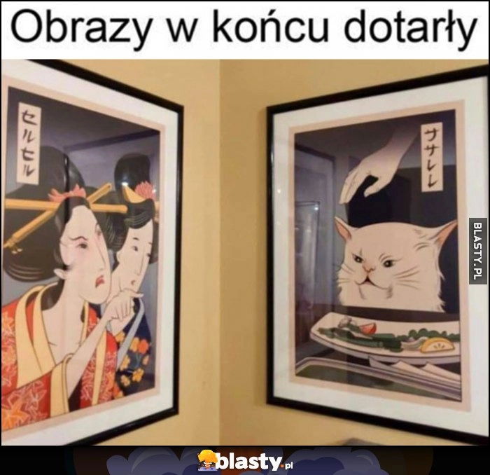 
    Obrazy w końcu dotarły laska kobieta krzyczy na kota