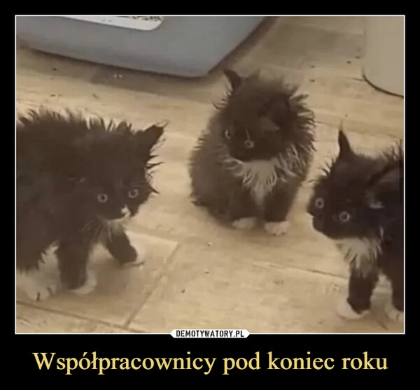 
    Współpracownicy pod koniec roku