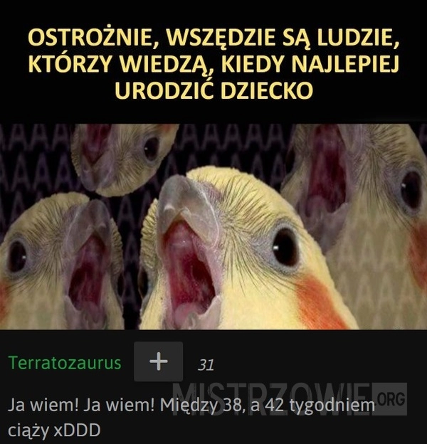 
    Bądź ostrożny