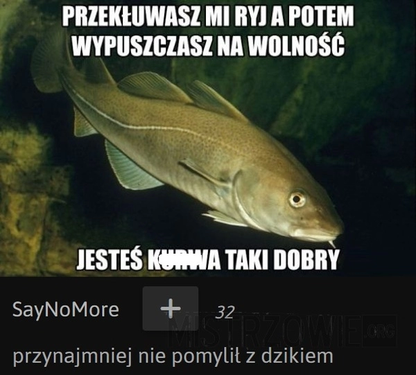 
    Łowienie ryb