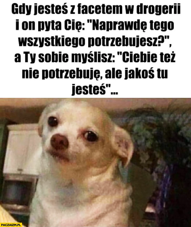 
    Pies gdy jesteś z facetem w drogerii i pyta Cię naprawdę tego potrzebujesz? A ty myślisz Ciebie też nie potrzebuję