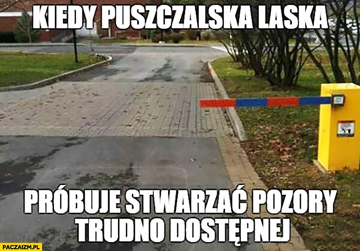 
    Kiedy puszczalska laska próbuje stwarzać pozory trudno dostępnej krótki szlaban