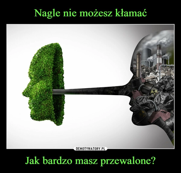 
    Nagle nie możesz kłamać Jak bardzo masz przewalone?