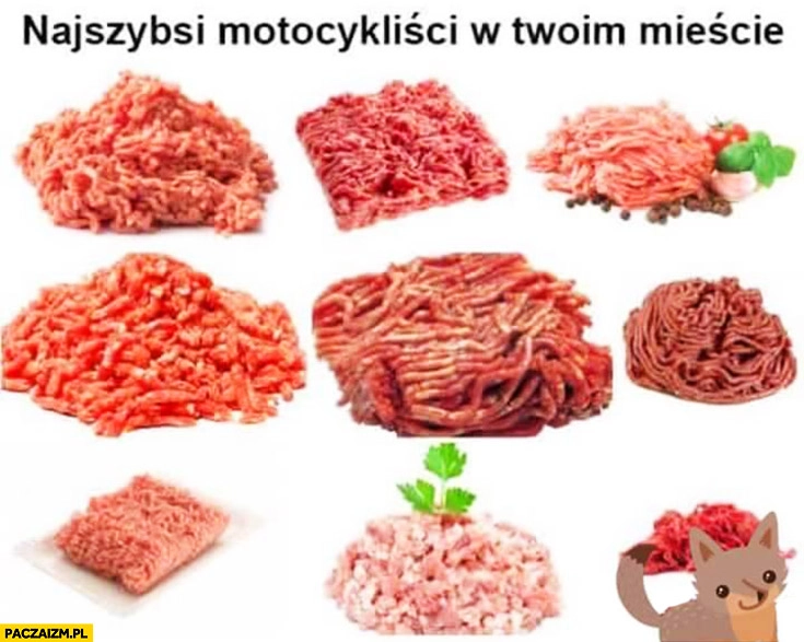 
    Najszybsi motocykliści w Twoim mieście mięso mielone