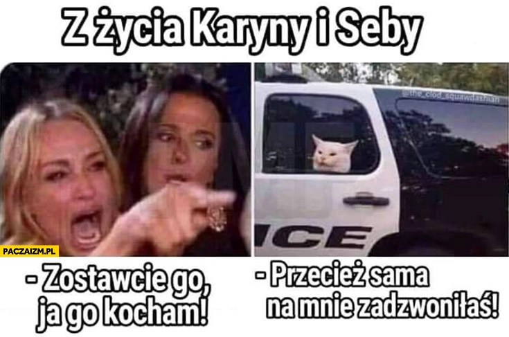
    Z życia Karyny i Seby: zostawcie go, ja go kocham, przecież sama na mnie zadzwoniłaś mem z kotem