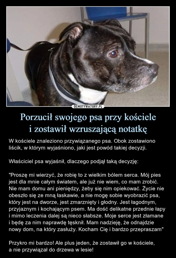 
    Porzucił swojego psa przy kościele
i zostawił wzruszającą notatkę