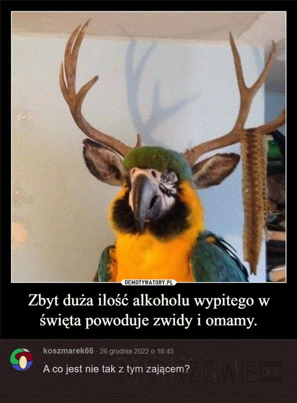 
    
			Zwidy					