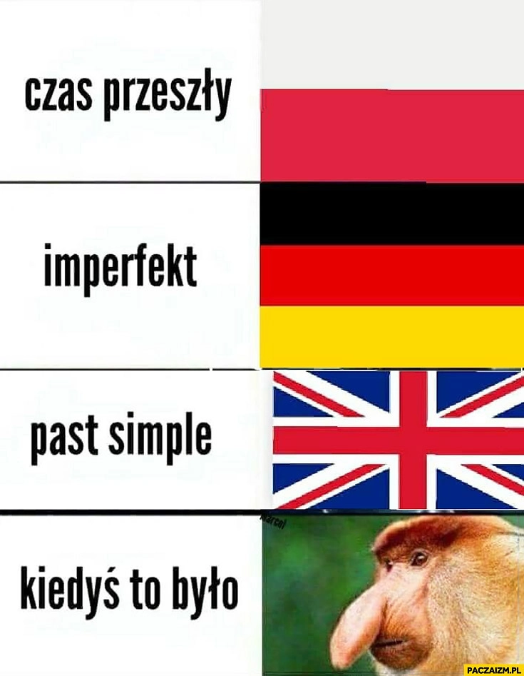 
    Czas przeszły, imperfekt, past simple, kiedyś to było typowy Polak nosacz