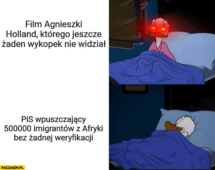 
    Film Agnieszki Holland real shit vs PiS wpuszczający imigrantów z Afryki bez weryfikacji I sleep