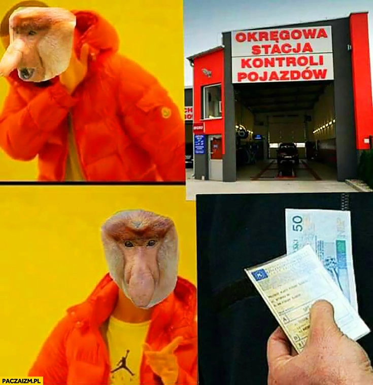 Okręgowa stacja kontroli pojazdów nie chce, woli dać łapówkę za przegląd typowy Polak nosacz małpa Drake