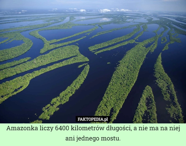 
    Amazonka liczy 6400 kilometrów długości, a nie ma na niej ani jednego mostu.