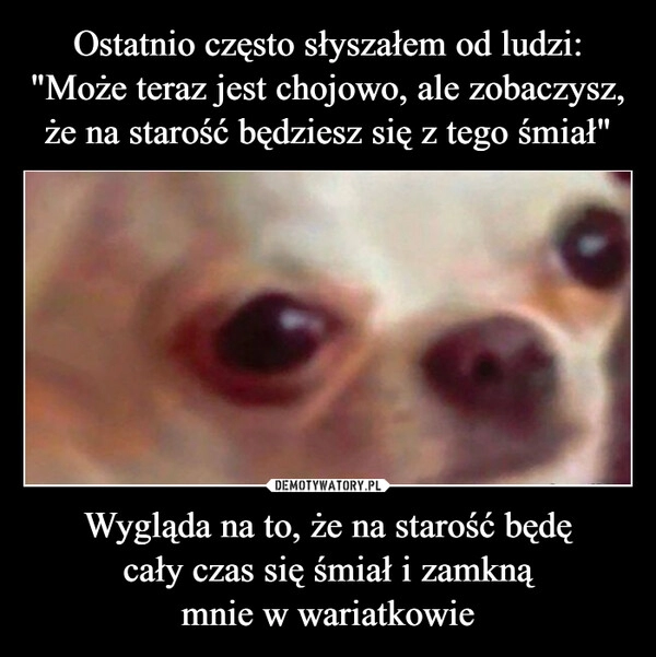 
    Ostatnio często słyszałem od ludzi:
"Może teraz jest chojowo, ale zobaczysz,
że na starość będziesz się z tego śmiał" Wygląda na to, że na starość będę
cały czas się śmiał i zamkną
mnie w wariatkowie