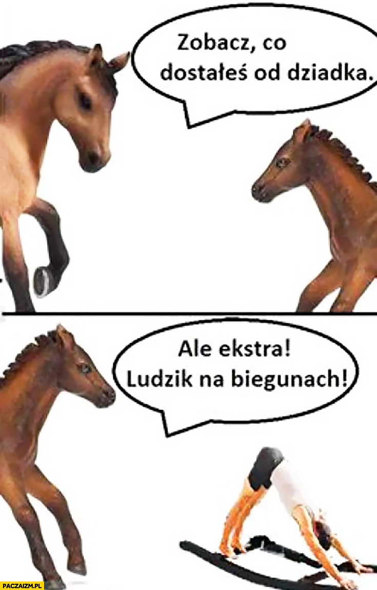 
    Koń na biegunach zobacz co dostałeś od dziadka, ale ekstra ludzik na biegunach