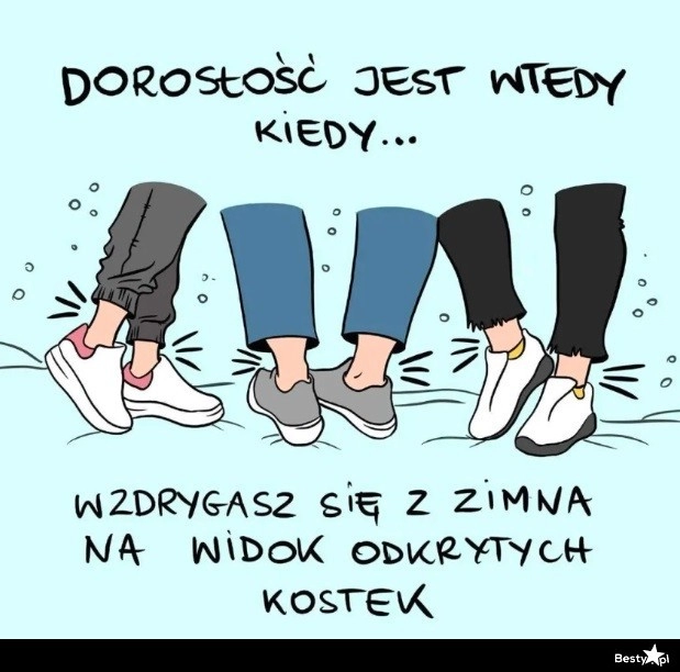 
    Dorosłość 