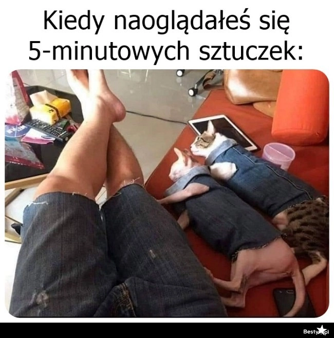 
    Już wcielone w życie 