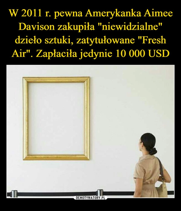 
    W 2011 r. pewna Amerykanka Aimee Davison zakupiła "niewidzialne" dzieło sztuki, zatytułowane "Fresh Air". Zapłaciła jedynie 10 000 USD