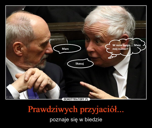 
    Prawdziwych przyjaciół...