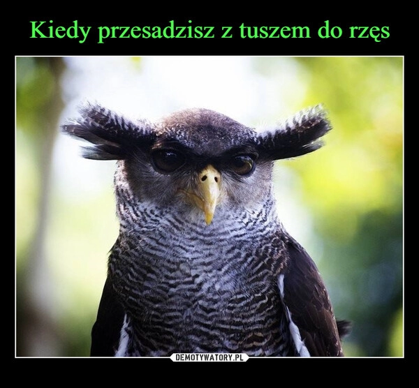 
    Kiedy przesadzisz z tuszem do rzęs