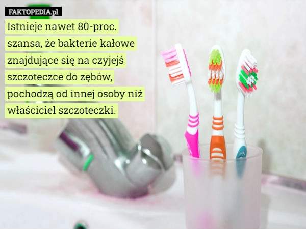 
    Istnieje nawet 80-proc. szansa, że bakterie kałowe znajdujące się na czyjejś