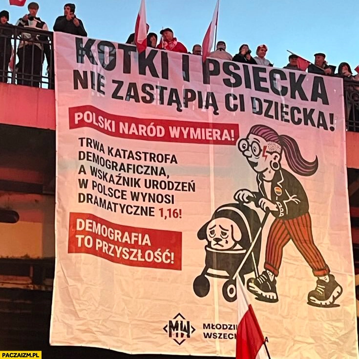 
    Kotki i psiecka nie zastąpią ci dziecka polski naród wymiera młodzież wszechpolska