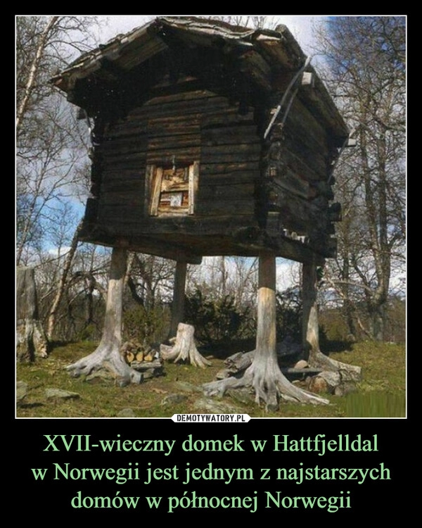 
    XVII-wieczny domek w Hattfjelldal
w Norwegii jest jednym z najstarszych domów w północnej Norwegii