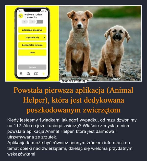 
    Powstała pierwsza aplikacja (Animal Helper), która jest dedykowana poszkodowanym zwierzętom