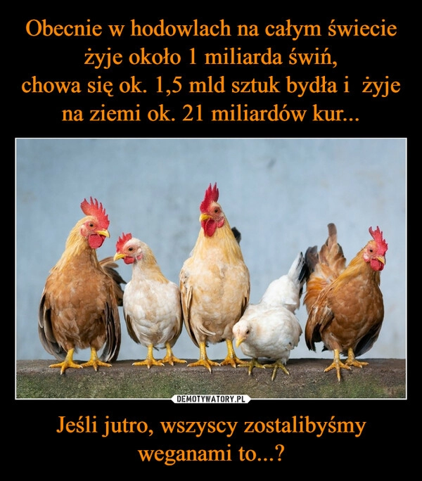 
    Obecnie w hodowlach na całym świecie żyje około 1 miliarda świń,
chowa się ok. 1,5 mld sztuk bydła i  żyje na ziemi ok. 21 miliardów kur... Jeśli jutro, wszyscy zostalibyśmy weganami to...?