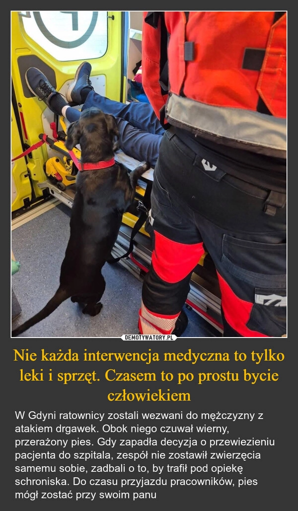 
    Nie każda interwencja medyczna to tylko leki i sprzęt. Czasem to po prostu bycie człowiekiem