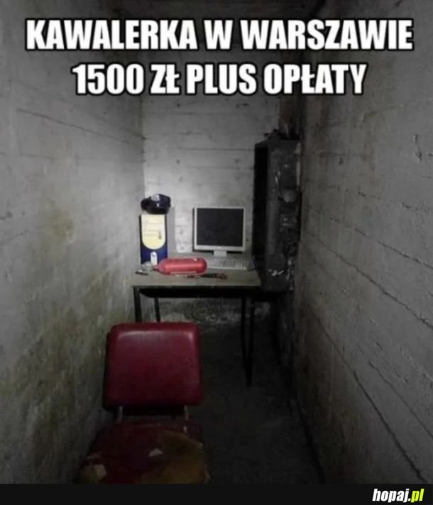 
    Warto rozważyć