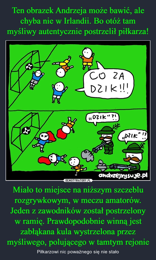 
    Ten obrazek Andrzeja może bawić, ale chyba nie w Irlandii. Bo otóż tam myśliwy autentycznie postrzelił piłkarza! Miało to miejsce na niższym szczeblu rozgrywkowym, w meczu amatorów. Jeden z zawodników został postrzelony w ramię. Prawdopodobnie winną jest zabłąkana kula wystrzelona przez myśliwego, polującego w tamtym rejonie