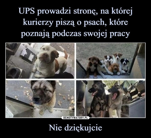 
    UPS prowadzi stronę, na której kurierzy piszą o psach, które
poznają podczas swojej pracy Nie dziękujcie