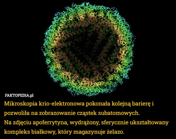 
    Mikroskopia krio-elektronowa pokonała kolejną barierę i pozwoliła na zobrazowanie