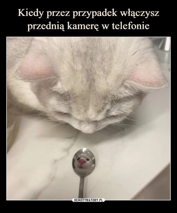 
    
Kiedy przez przypadek włączysz przednią kamerę w telefonie 