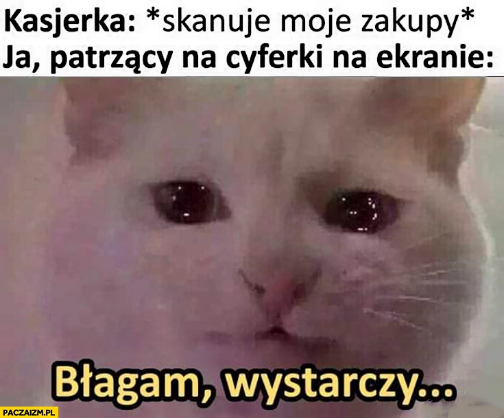 
    Kasjerka skanuje moje zakupy vs ja patrzący na cyferki na ekranie kot błagam wystarczy