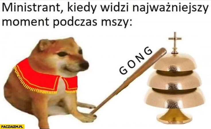 
    Ministrant kiedy widzi najważniejszy moment podczas mszy gong pies pieseł doge