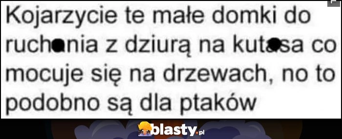 
    Kojarzycie tem małe domki z dziurką co mocuje się na drzewach? No to podobno są dla ptaków