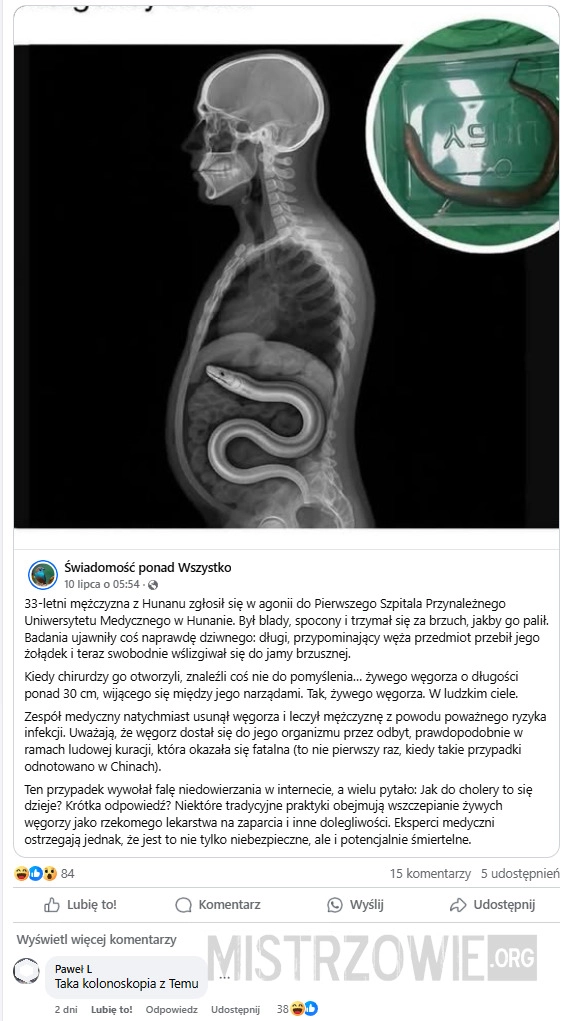 
    Medycyna niekonwencjonalna