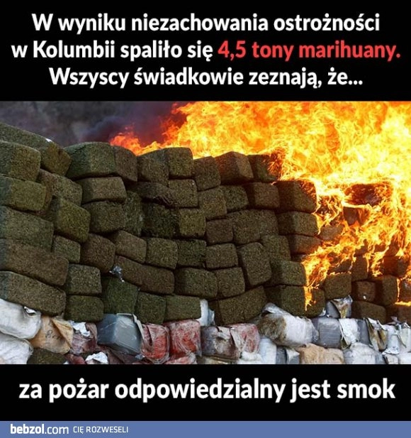 
    Wersja świadków 