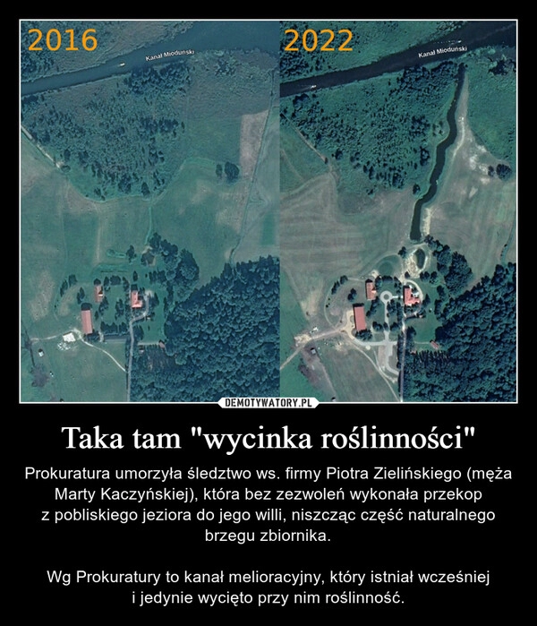 
    Taka tam "wycinka roślinności"